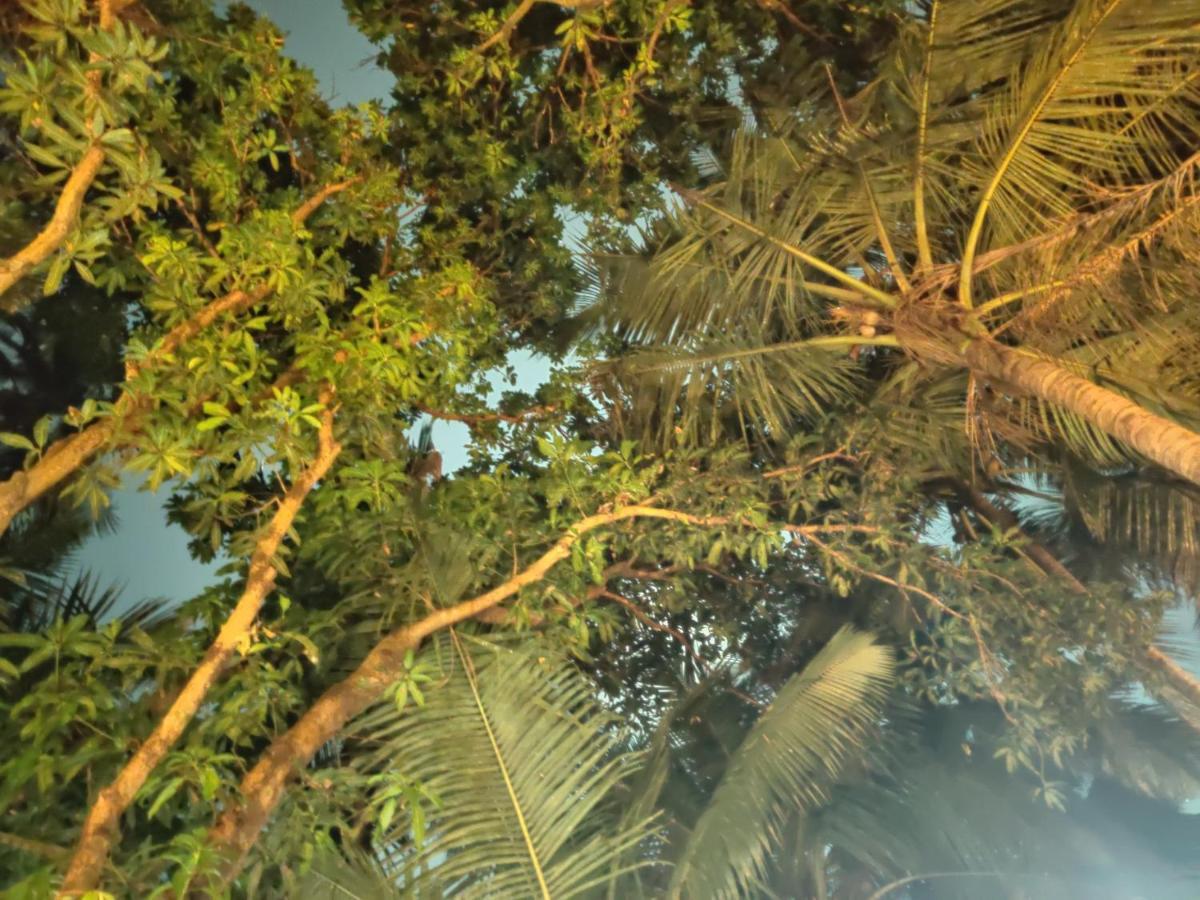 Namahstay Eco Hostel & Coworking & Art Community Space Arambol Extérieur photo